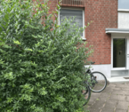 Außenansicht - 3 Zimmer 3- Zimmer zur Miete in Hamburg