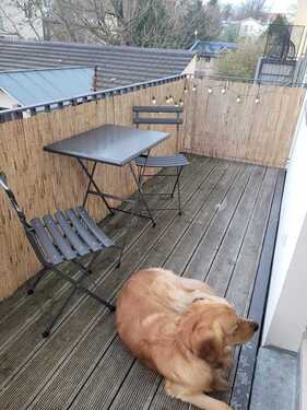 PHOTO-2025-11-26-16-07-33 - 