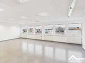 Foto - Büro in Magdeburg 2.353,52 € 294.19 m²