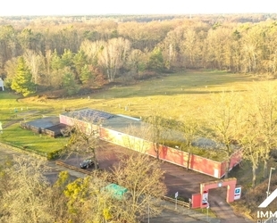 Vielseitig nutzbares Gastronomie- und Freizeitensemble mit Ganzjahrespotenzial - Dessau-Roßlau