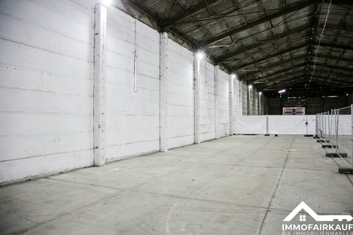 Blick linke Seitenfläche - Halle in Magdeburg / Ottersleben zur Miete