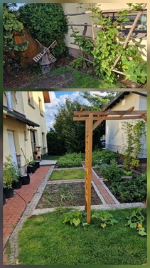 IMG-20251211-WA0011 - 