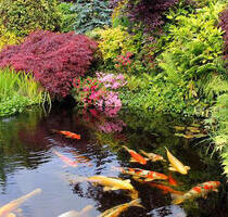 Bauland. Günstige Teilgrundstück(e)voll Erschlossen - Oederan
