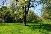 Wagner Immobilien Hache Garten (1) - 