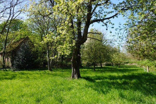 Wagner Immobilien Hache Garten (1) - 