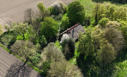Wagner Immobilien Refugium - Bauernhaus, Landhaus zum Kaufen in Bruchhausen-Vilsen