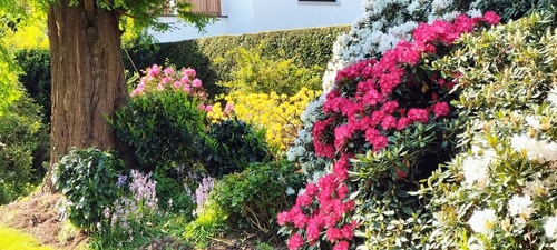 Bild4 - Sonniges 28 qm Zimmer in 2er WG nahe Uni