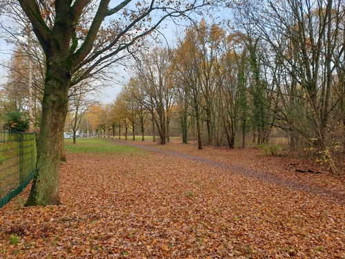 Außenbereich Balkonseite - 