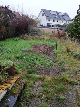 IGartenMG_20251130_141454 - 