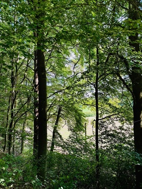 IMG_4106 - • Liebhaberobjekt im Naturpark Fränkische Schweiz