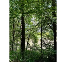 • Liebhaberobjekt im Naturpark Fränkische Schweiz - Gräfenberg