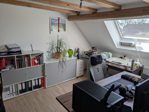 PXL_20260318_123718442 - 