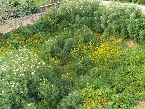 Garden - Einfamilienhaus mit 110,00 m&sup2; in Kolimbari, Kreta zum Kaufen