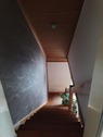 scari int 9 - 