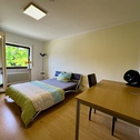 IMG_8680 - Zimmer in Sauberer WG mit Garten
