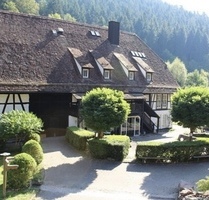 Helles Wohnappartement mit Balkon und Naturblick - Calw (Kreis)