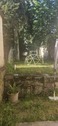 1000159406 - 