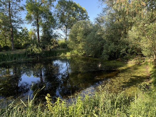 Teich - 7 Zimmer Einfamilienhaus in Strasburg