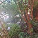 Diekholzen Garten 2 - 