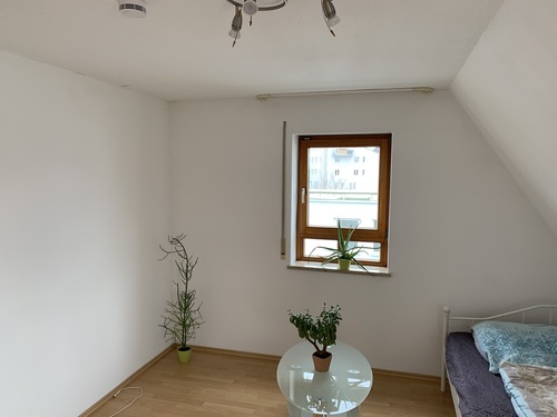 Zimmer - 