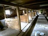 Kuhstall - 