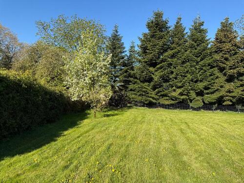 Garten - 