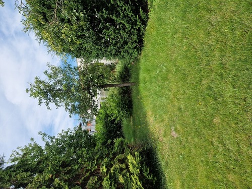 20240718_113046 - 6 Zimmer Einfamilienhaus zur Miete in Stockstadt am Main