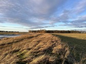 Spaziergang vor der Tür - 
