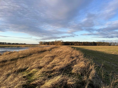 Spaziergang vor der Tür - 