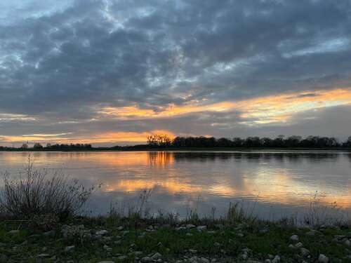 Ausblick Elbe - 