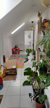 1000007284 - andere in Nürnberg