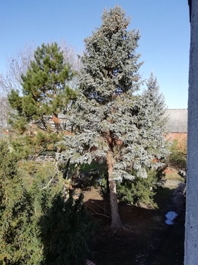 Blick in den Hof - 
