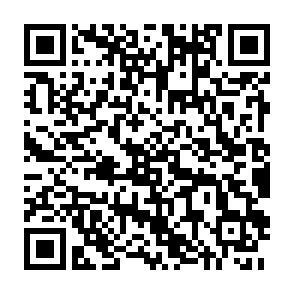 QR-Code - 