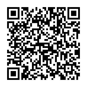 QR-Code - 