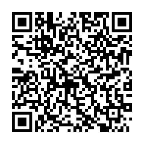 QR-Code - 