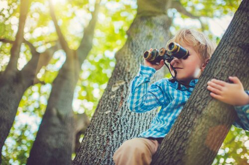 Abenteuer im eigenen Garten - 