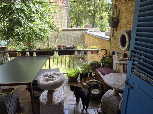 Balkon_2 - 