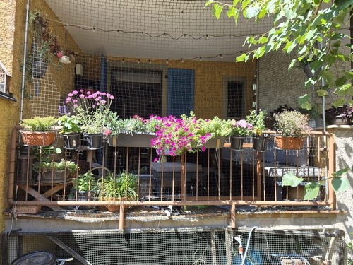 Balkon_3 - 