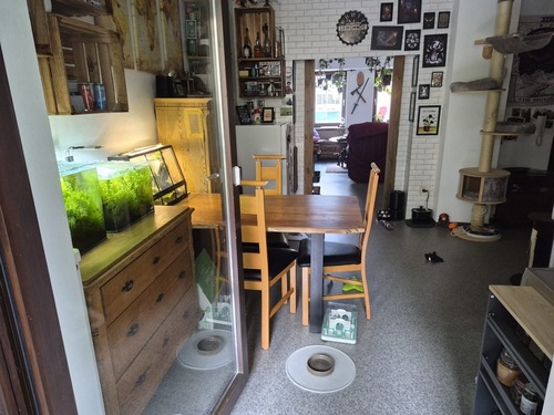 Wohnküche_1 - Wohnung / Studentenwohnung - 450,00&nbsp;EUR Kaltmiete, ca.&nbsp; 50,00&nbsp;m&sup2;&nbsp;Wohnfl&auml;che