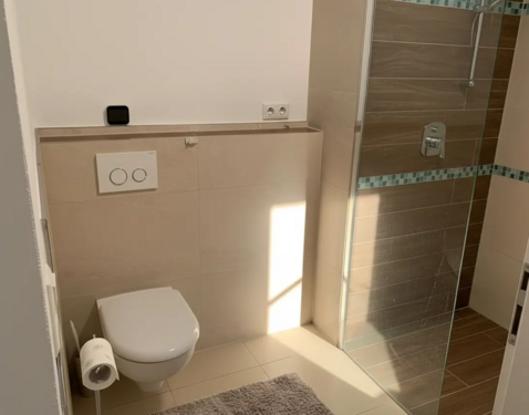 Bad mit großer Walkin Dusche und WC. 2 - 