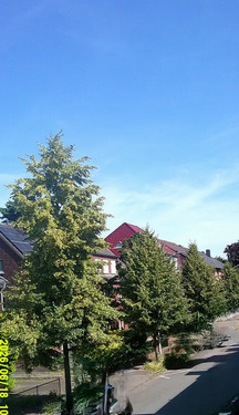Ausblick - 