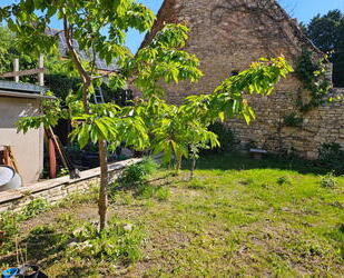 ObjNr:19691 - In 2004 voll saniertes 1- Zweifamilienhaus mit kleinem Garten und Hof - Eppelsheim