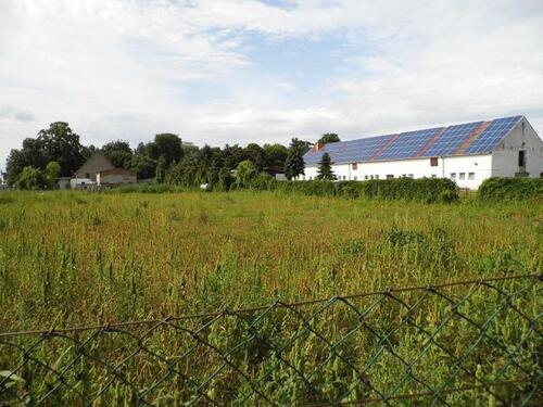 Foto - 1 Zimmer Grundstück zum Kaufen in Ducherow
