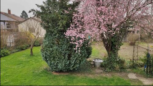 Foto - 7 Zimmer Zweifamilienhaus in Leimersheim