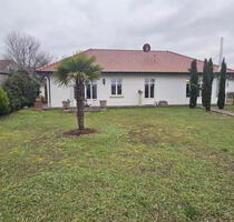 ObjNr:19640 - Neuwertiger Bungalow mit großem Garten in Dittelsheim-HESSLOCH - Dittelsheim-Heßloch