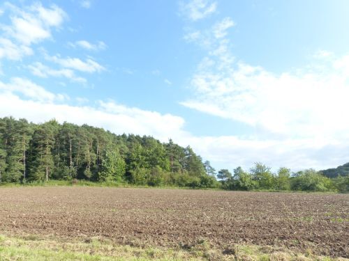 Bild - Etagenwohnung mit 50,00 m² in Nüdlingen zur Miete