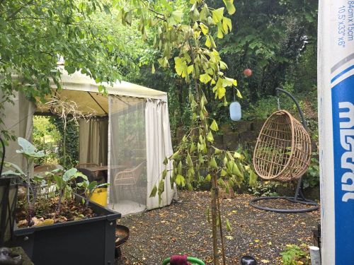 Bild - 14 Zimmer Mehrfamilienhaus, Wohnhaus zum Kaufen in Würzburg