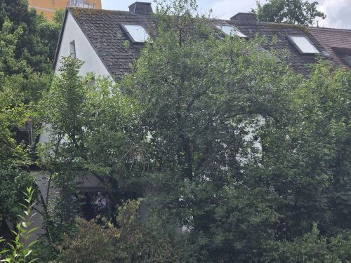 Bild - Kleiner versteckter Traum mit viel Grünfläche! Mehrfamilienhaus in 97074 Würzburg-Frauenland (ID 92)