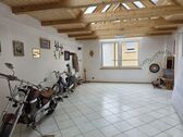 Bild - 
