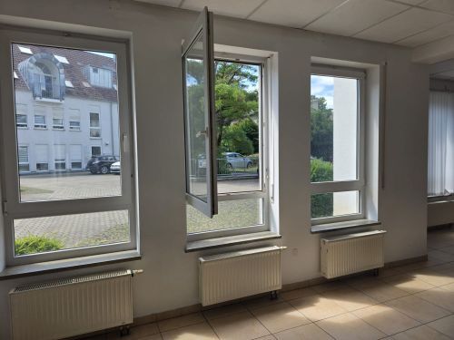 Bild - 